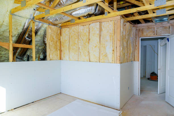 Best Eco-Friendly Insulation in Hayden, CO