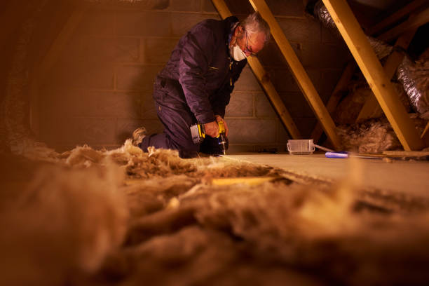 Best Residential Insulation in Hayden, CO